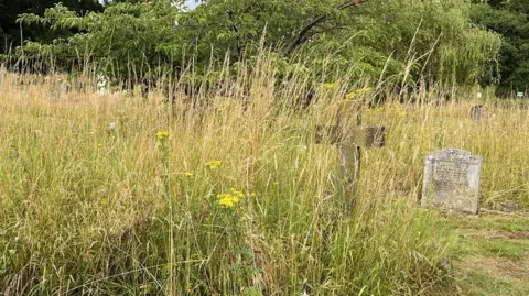 BBC/George Carden Long grass overgrowing the path and gravestones