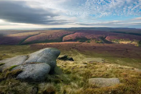Getty Images View from the northern edge of Kinder Scout over Black Ashop moor and on towards Bleaklow. Heather giving a purple colour to the moorland landscape below. 