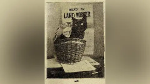 Modern Records Centre, University of Warwick A black cat sits in a basket in front of a poster saying "Read the Land Worker"