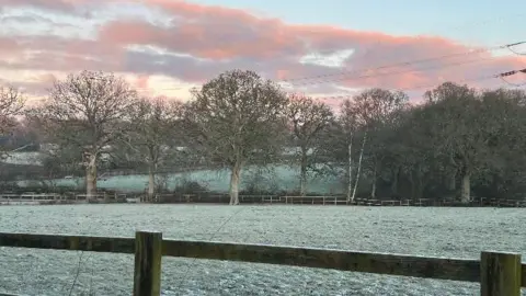 frankandbertie A frosty field. 