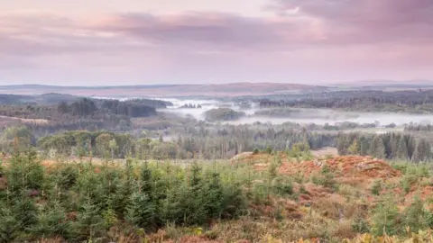 Getty Images Galloway scene