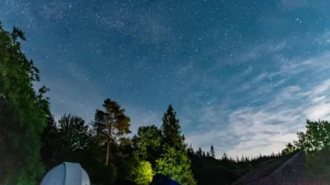 The view of the twilight sky, littered with stars, above a canopy of trees.
