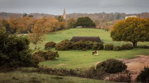 Hang Ross A green field slopes upward towards a glade of trees, a church spire emerging behind. A brown and white horse eats grass, a barn-like structure behind it.