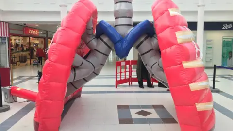 The inflatable lung. It is pink, blue and grey in colour. It is in a shopping centre. 