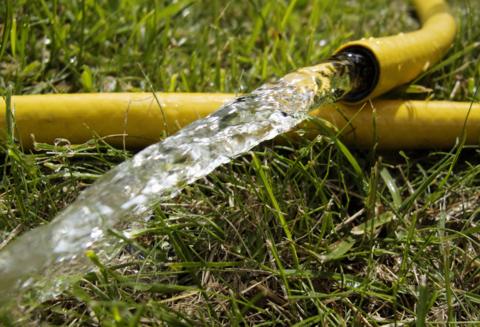 A hose pipe with water on the grass