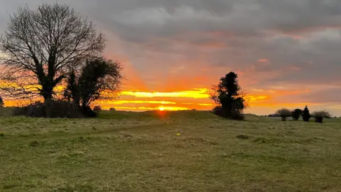 MrsKnee Sunset with lots of green space and trees that are cast in shadow.