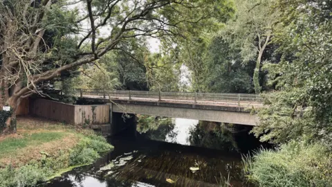 Shaun Whitmore/BBC Image shows a simple concrete bridge over a river, flanked by trees.