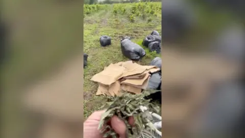 A man holding some dried cannabis leaves in front of bags of rubbish