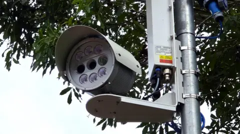 Paul Moseley/BBC We can see a circular modern camera with multiple lenses on it. It's installed on a pole, with a tree visible behind it.