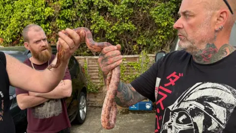 Gareth Bowen A tattooed man wearing a black T-shirt holds the long snake with another man, who is out of shot. He looks focused and is standing in a small car park. Another man watches on with his arms crossed.