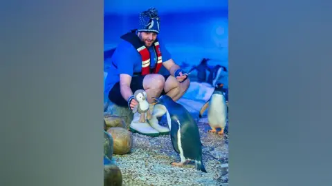 SEA LIFE Trainer showing Daley the Penguin a knitted toy