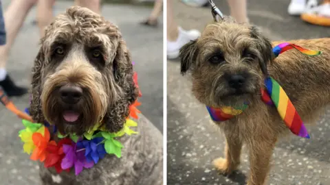 Dogs of Brighton Pride