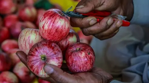 apples