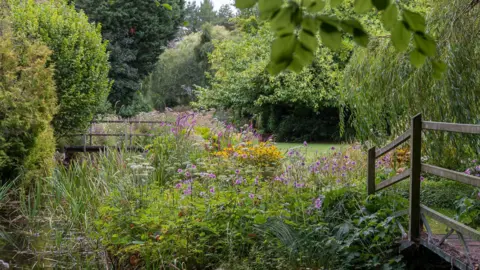Andy Cobold/The Stoke Ferry Walking Group To the left of the picture a river runs through the garden. To the right is a bridge. The picture is full of flowers, some purple some green and different kinds of reeds and leaves in all the shades of green some dark some light. 