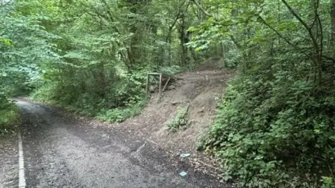 The entrance to the quarry site. A narrow dirt path is seen with a break in the trees, leading to another small path up to the quarry.