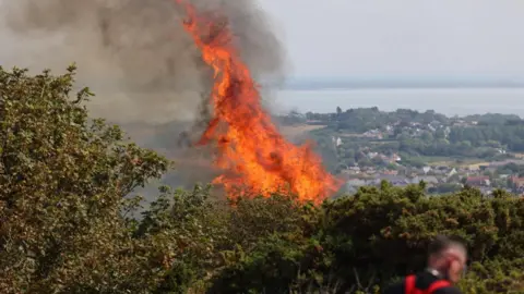 Island Echo A large flame rises from behind some green bushes on the Isle of Wight.
