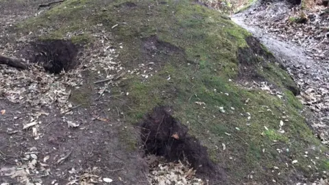 Jersey Heritage Holes at the dolmen