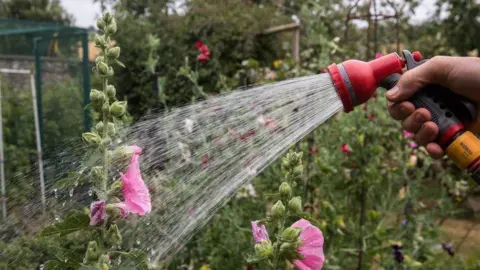 Getty Images A hand holds a hosepipe and sprays water on flowers in the garden