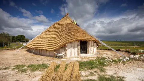 A replica Neolithic hall being constructed on Salisbury Plain. A volunteer, wearing high vis lies at the top of a long ladder thatching the roof.