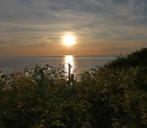 Ali Rahim A bird on a post at sunset