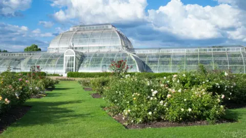 Getty Images The iconic Temperate House exhibiting over 10,000 plants in the world's biggest sculptural Victorian glasshouse at Royal Botanic Gardens at Kew,