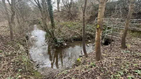 NCJ Media/James Robinson Park Burn on an overcast day.