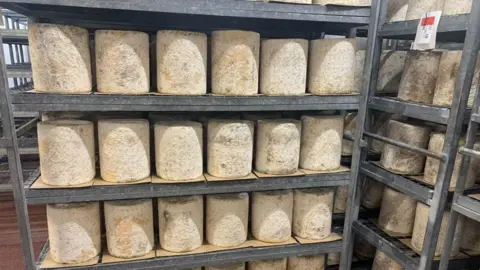 A view of Stilton cheese on shelves maturing.