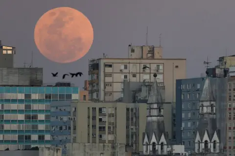 Diego Vara/Reuters A view shows a full moon known as the 'Blue Moon' over de city of Porto Alegre, Rio Grande do Sul state, Brazil, August 30