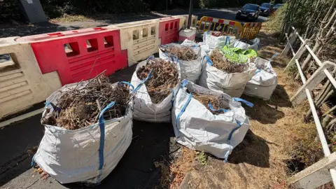 Eight one-tonne waste bags on the road in Ansty filled with waste from overgrown vegetation.