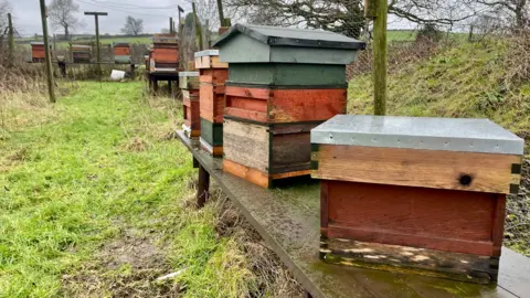 Fourteen hives sit on a wide wooden benches. Behind the hives is a wire fence held up with wooden poles. In the distance is a large field with trees and shrubbery.