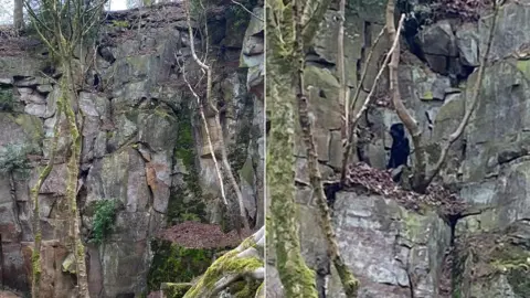 Derbyshire Fire and Rescue Benson on the ledge