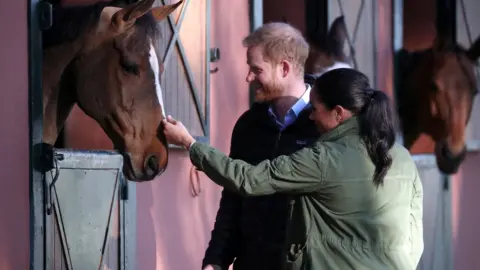 EPA The Duke and Duchess of Sussex stop to stroke a horse