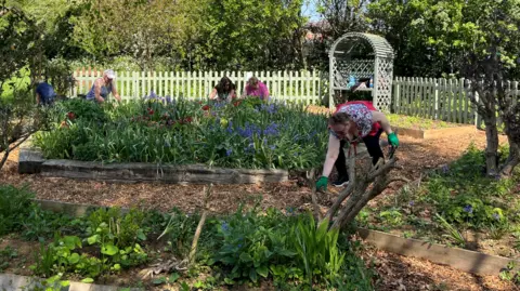 A woman bends down in a garden area. In the background are other people working in a flower bed.