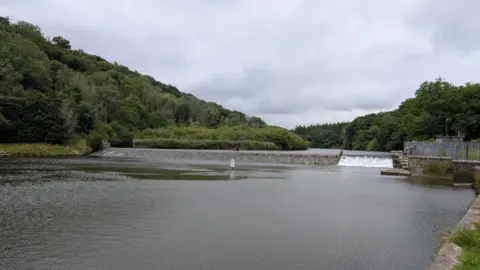 Lopwell Dam near Plymouth. Water is flowing in the dam. Green trees surround the dam.