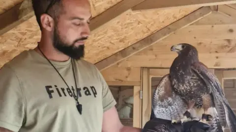 Supplied A man holds a hawk in a wooden shed. The man has short black hair, a black beard, a sand coloured t-shirt with black lettering and a black necklace. The bird has black, brown and white feathers and is opening its wings slightly. The bird has brown anklets and sits on the man's dark glove.