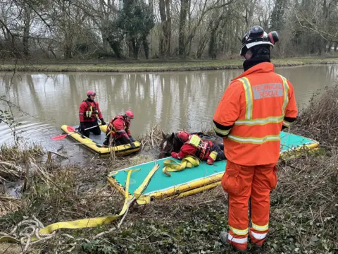 Leicestershire Fire and Rescue Service Brandy being rescued from the water