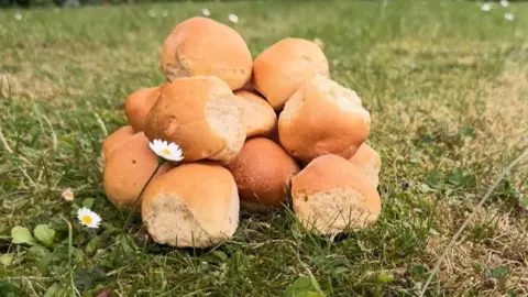 Grass and daisy flowers with pile of golden small bread-roll shaped Dorset knob biscuits.