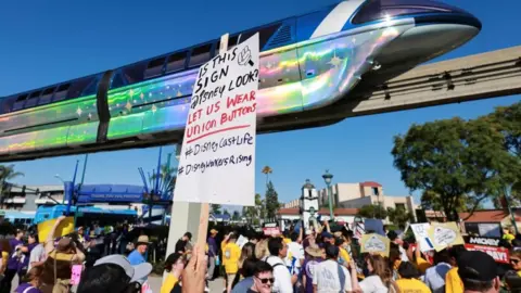 Reuters Disneyland protest passes under glittered train at the theme park