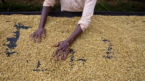 Kate Stanworth Workers process coffee beans at a coffee processing plant in Komothai, Kenya