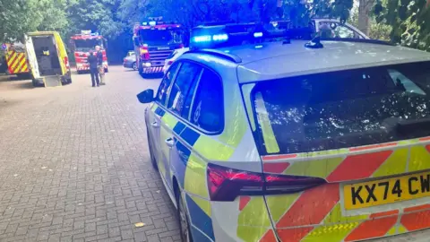 Richard Durham A large number of emergency vehicles in a park, showing two people standing close by. Trees are in the distance.
