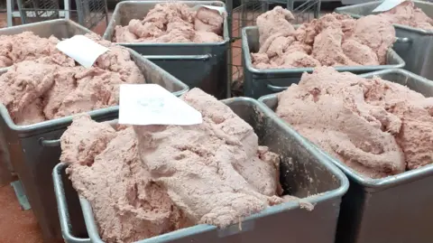 Swansea Trading Standards Six large grey metal containers of pink soft-looking paste which will be made into kebabs 