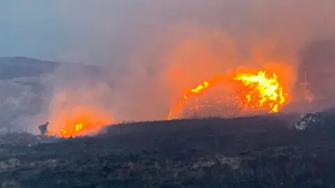 A small figure in the bottom left of the photo is dwarfed by large flames spreading across a dark wilderness landcape.