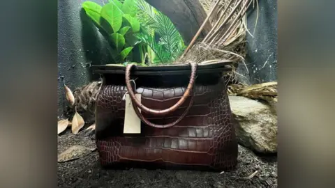 London Zoo s crocodile skin handbag display goes viral