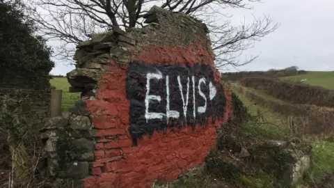 MOrys Gruffydd Elvis on the Cofiwch Dryweryn wall