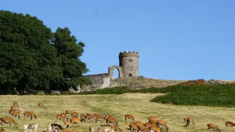 Bradgate Park Trust Old John