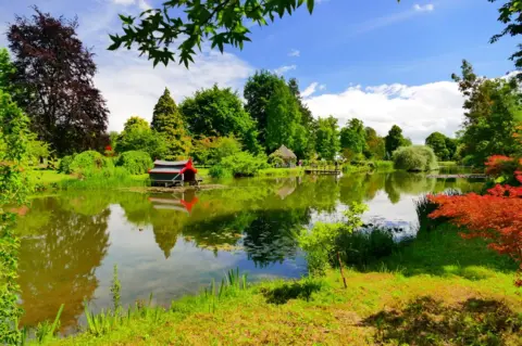 Anne Jedrzejewski Reflection of trees in water