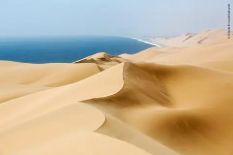 Orlando Fernandez Miranda / WPY Sand dunes on Namibia's desert coastline