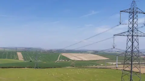 National Grid Winterbourne Abbas pylon site