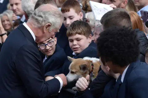 Getty Images King Charles greets Connie the corgi among the crowds of people outside Hillsborough Castle