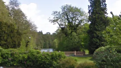Google Maps Newent Lake surrounded by trees